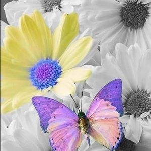 Meet your Posher, Jean